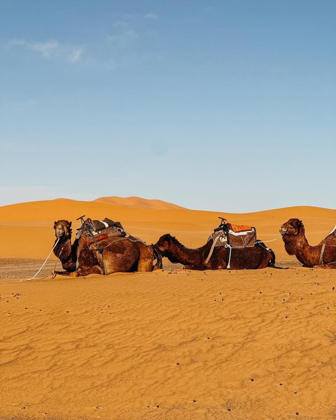 Exquisite Morocco Desert Merzouga Exterior photo